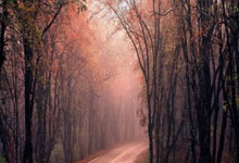 50败!76人险18分逆转奇才吞6连败 独行侠弃将连续9场20+.